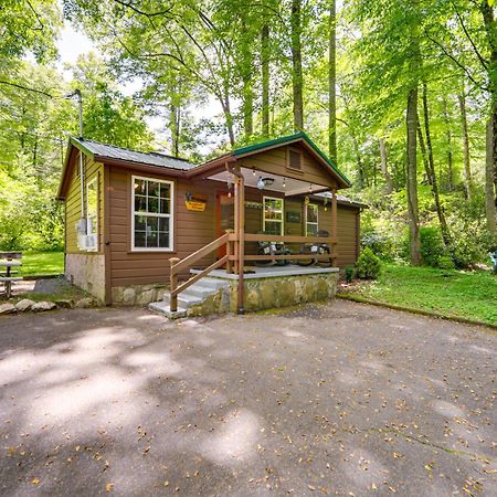 Pet-Friendly Creekside Cabin With Pool Access! Maggie Valley Exterior photo