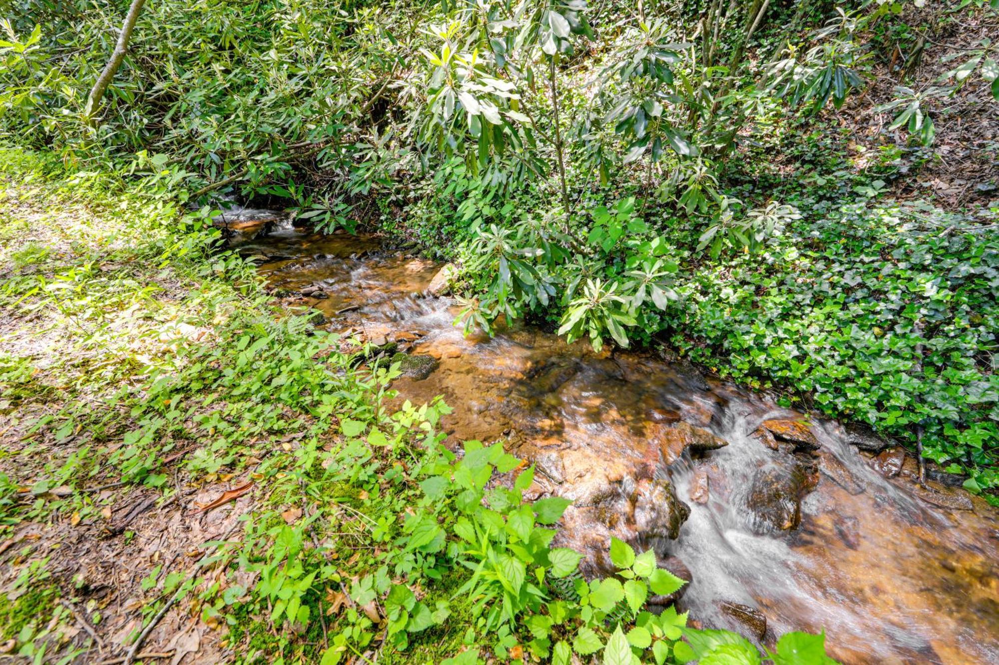 Pet-Friendly Creekside Cabin With Pool Access! Maggie Valley Exterior photo